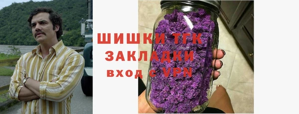 прущая мука Вяземский